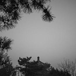 任天堂Switch在线7月免费游戏公开 真·女神转生if在列